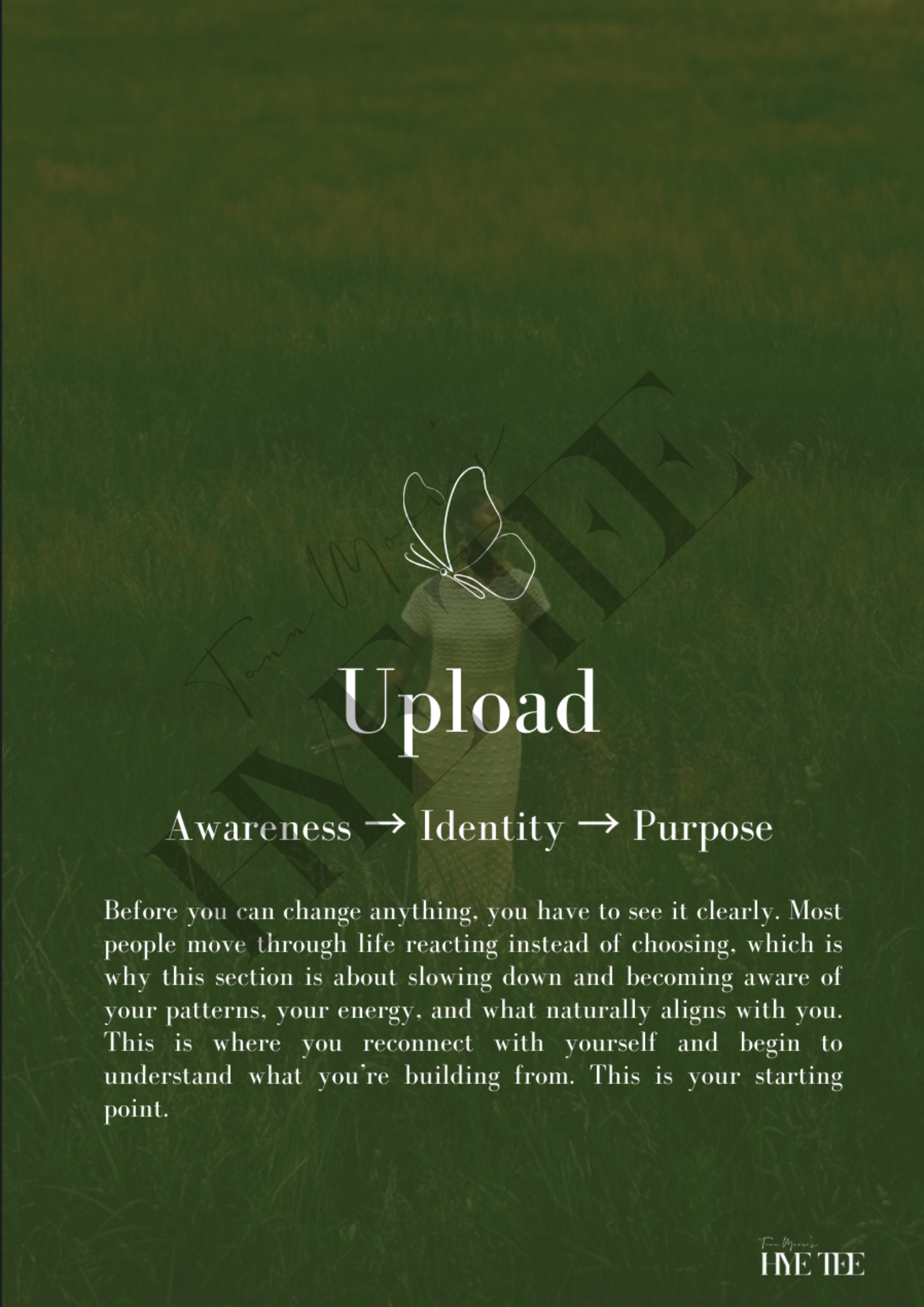 HYE AGAIN - A Self-Trust Reset Journal